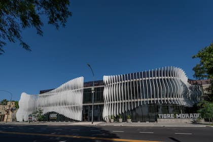 Tigre Morado y Fabric, dos de las nuevas propuestas en Costanera Norte.