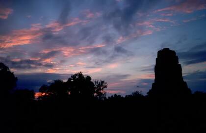 Tikal es una antigua ciudadela maya ubicada en el norte de Guatemala