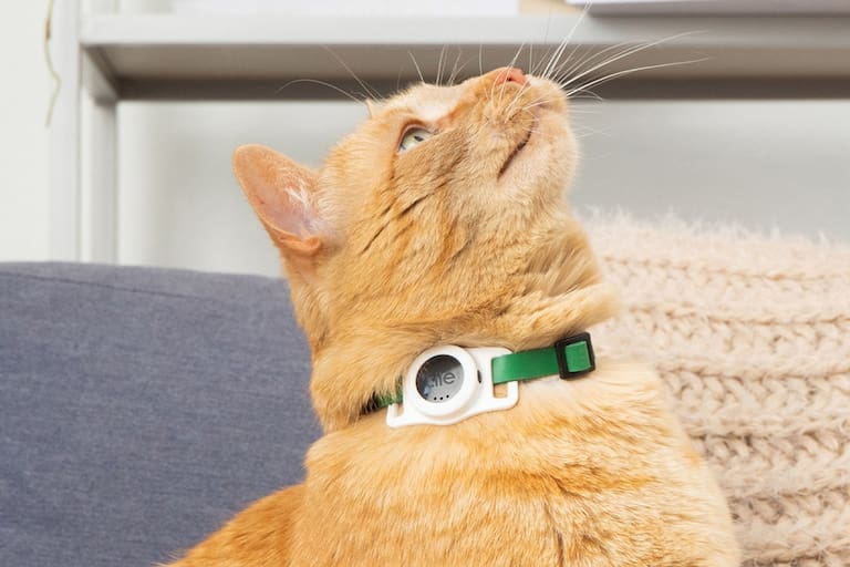 Este collar Bluetooth te permite saber por dónde anda tu gato - LA