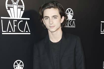 Timothée Chalamet donó su salario del film de Allen que protagoniza