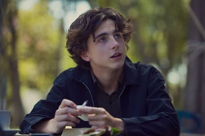 Timothée Chalamet en Lady Bird