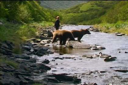 El ecologista le dedicaba grandes declaraciones de amor a los osos