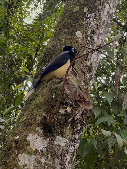 Tinayre quedó encantada con los animales que encontró en el camino (Foto: Instagram @soymarcelatinayre)
