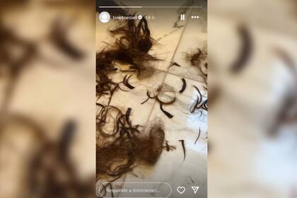 Tini compartió una particular foto sobre su presunta cabellera (Foto Instagram @tinistoessel)