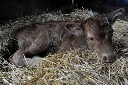 Tini Tini cuando nació el 27 de julio de 2022