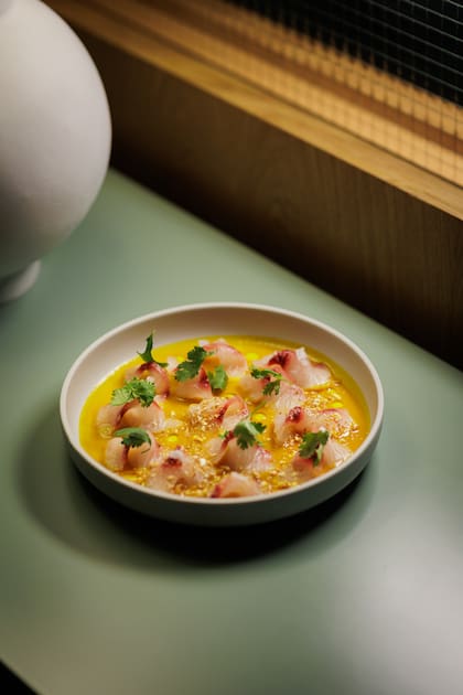 Tiradito de pesca blanca con salsa de ají amarillo, garum y salsa marítima.