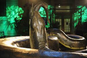 La colosal serpiente de más de 15 metros de largo que devoraba cocodrilos de un solo bocado