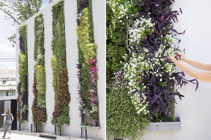 Tiras de cinco metros de altura con plantas cubren una medianera vehicular.