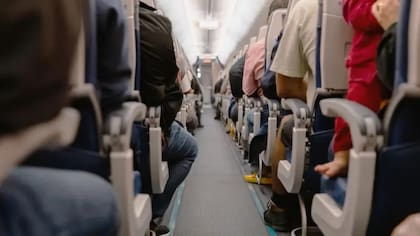 Tiron Alexander fue condenado por fraude tras aprovechar durante años el sistema de viajes interlínea reservado a empleados aeronáuticos