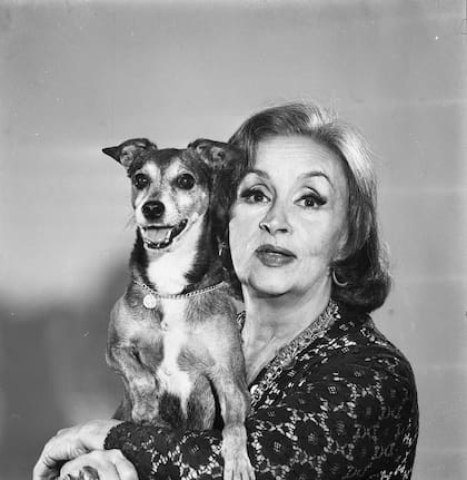 Tita Merello, con su perro Corbata. "Me hubiese hecho falta en la vida ser vanidosa. Me hice un vestido de prepotente, pero no soy…soy un perrito…"