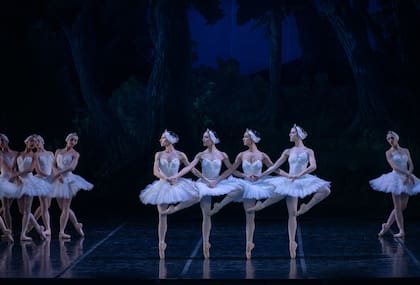 Títulos como "El lago de los cisnes", que no pierden encanto a través de los siglos, permiten el lucimiento de todo el Ballet Estable del Teatro Colón