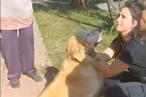 Polémica por una mujer que fue a la carnicería y pidió que le faenaran su perro golden