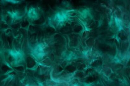 Toda esa actividad ocurrió durante 1977 y 1978 y en 1979 cesó.