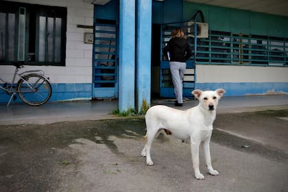 Toda esta área funciona bajo el Sistema de Intervención para la Reducción de Índices de Corruptibilidad (IRIC)