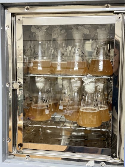 “Toda esta información elimina las sorpresas -agrega el experto- y reduce costos"