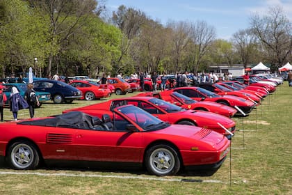 Todas las Ferrari alineadas y uniformes en su color distintivo