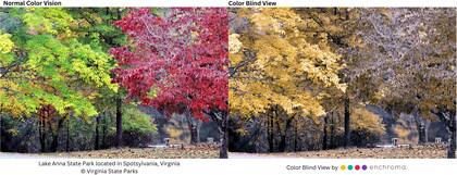 Todas las personas que padezcan daltonismo y visiten los parques podrán disfrutar a pleno de los tonos del follaje otoñal