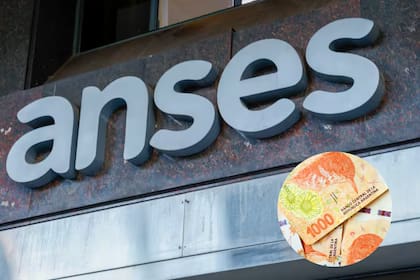 Todas las prestaciones sociales que la Anses paga en la jornada