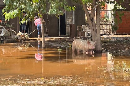 Todavía hay agua estancada en La Madris