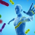 El órgano más misterioso del cuerpo podría cumplir un papel clave en la longevidad y el cáncer