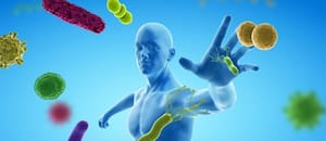 El órgano más misterioso del cuerpo podría cumplir un papel clave en la longevidad y el cáncer