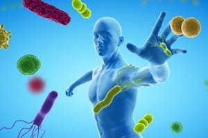 El órgano más misterioso del cuerpo podría cumplir un papel clave en la longevidad y el cáncer
