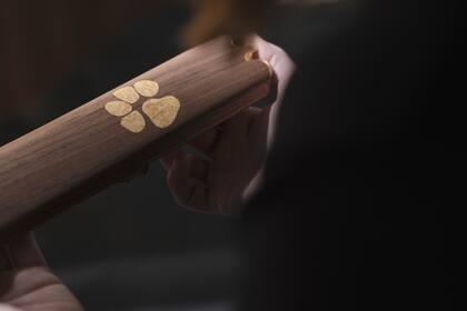 Todo el auto busca generar guiños permanentes a la mascota