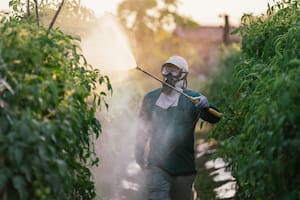 Todo el mundo es consciente de que la comida en mayor o menor medida puede estar contaminada por pesticidas (Getty Images)