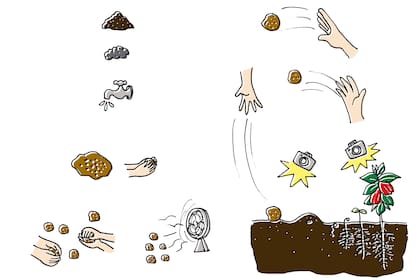 Todo empieza con una buena mezcla. Arcilla, tierra fértil y semillas: los ingredientes básicos para preparar bombas de semillas