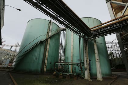 Todo es gigantesco, caminar por el predio es sentirse pequeño