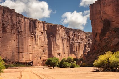 Todo es rojo en esta tierra que hoy es un verdadero tesoro para los científicos.