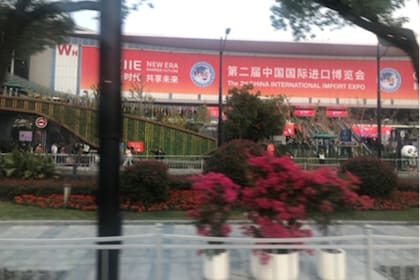 Todo lo que China va a demandar entre 2025 y 2035, la Argentina ya lo produce