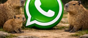 Cómo activar el "modo Capibara" de WhatsApp