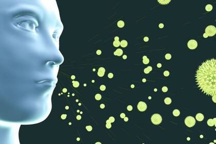 Todo lo que podamos hacer para mantener la salud inmunitaria ayuda en la lucha contra la covid-19