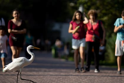 Todo lo que se puede hacer en el Ecoparque estas vacaciones de invierno