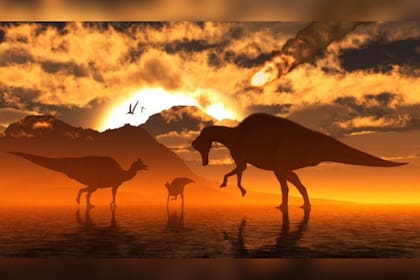 Todo terminó para los dinosaurios el día que chocó el asteroide, ¿cierto?