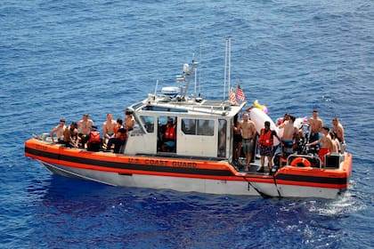 Todos a salvo tras el incidente con el gran tiburón