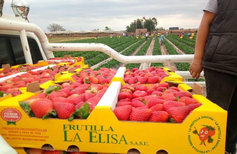 De la tradición familiar a la innovación