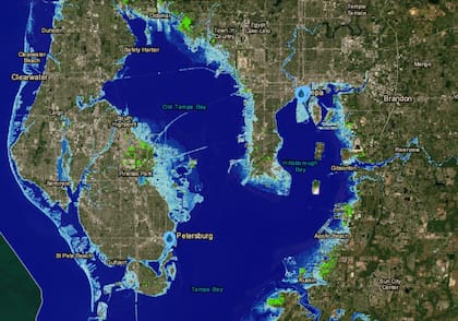 Todos los barrios costeros de la Bahía Old Tampa pasarían a formar parte de la flora marina del Golfo de México.