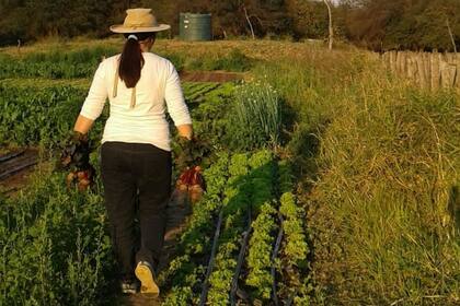 Todos los días Alina Ruiz recorre la huerta familiar para cosechar los productos para llevar a la feria