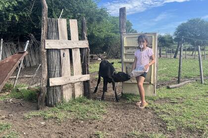 Todos los días Uriel y su hermana se encargan de darle de comer a los terneros y a los chanchos