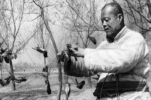 Todos los métodos eran aceptables con tal de cazar gorriones