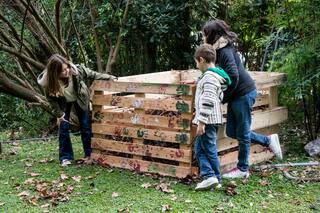 Cómo cuidar tus plantas de forma orgánica