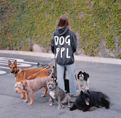 Todos los perros bien socializados y vacunados mayores de 4 meses de edad pueden ser miembros