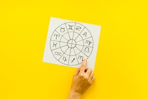 Todos los signos tienen un opuesto complementario, que se trata del signo que se encuentra en el lado contrario de la rueda zodiacal