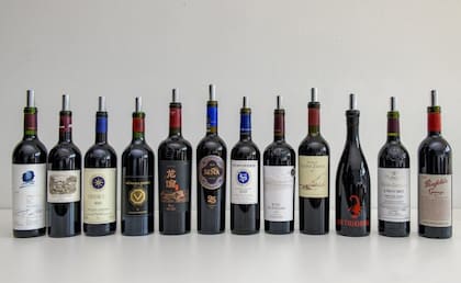 Todos los vinos que participaron de la degustación
