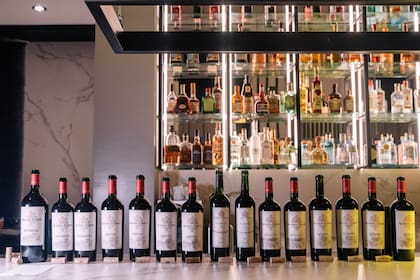 Todos los vinos que se degustaron la noche de lanzamiento fueron la línea Fincas.