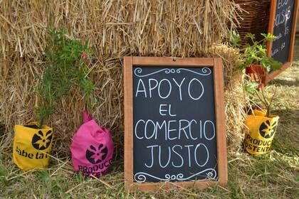 "Todos somos responsables de lo que consumimos y de la basura que generamos", advierten