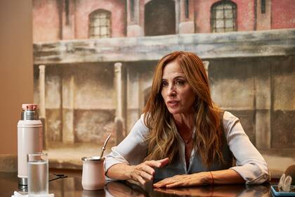 Tolosa Paz destacó coincidencias con legisladores como Manes, Lousteau, Stolbizer, Fein y Paulón