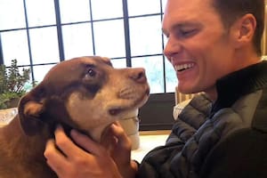 Tom Brady revela cómo logró clonar a su mascota Lua, que murió en 2023